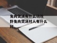 兔肉煲汤有什么功效 野兔肉煲汤对人有什么好