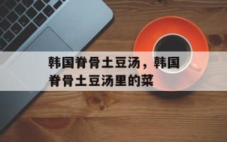 韩国脊骨土豆汤，韩国脊骨土豆汤里的菜