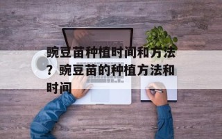 豌豆苗种植时间和方法？豌豆苗的种植方法和时间