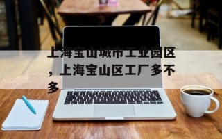 上海宝山城市工业园区，上海宝山区工厂多不多
