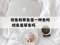 皖鱼和草鱼是一种鱼吗 皖鱼是草鱼吗