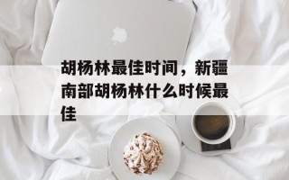 胡杨林最佳时间，新疆南部胡杨林什么时候最佳