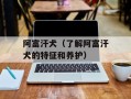 阿富汗犬（了解阿富汗犬的特征和养护）