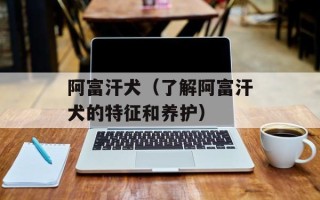 阿富汗犬（了解阿富汗犬的特征和养护）