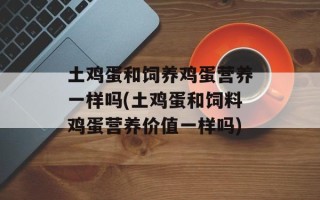 土鸡蛋和饲养鸡蛋营养一样吗(土鸡蛋和饲料鸡蛋营养价值一样吗)