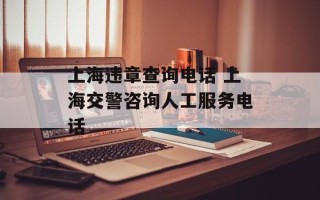 上海违章查询电话 上海交警咨询人工服务电话