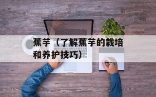 蕉芋（了解蕉芋的栽培和养护技巧）