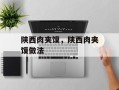 陕西肉夹馍，陕西肉夹馍做法