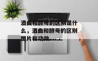 酒曲和酵母的区别是什么，酒曲和酵母的区别图片和功效
