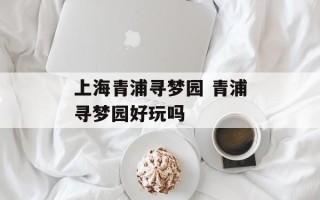 上海青浦寻梦园 青浦寻梦园好玩吗