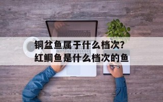 铜盆鱼属于什么档次？红鲷鱼是什么档次的鱼