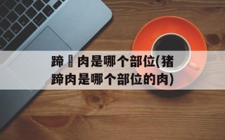 蹄髈肉是哪个部位(猪蹄肉是哪个部位的肉)