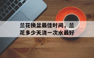 兰花换盆最佳时间，兰花多少天浇一次水最好