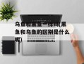 乌鱼和黑鱼一样吗(黑鱼和乌鱼的区别是什么呢)
