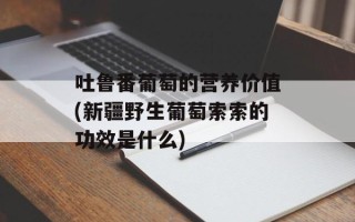 吐鲁番葡萄的营养价值(新疆野生葡萄索索的功效是什么)