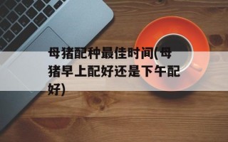 母猪配种最佳时间(母猪早上配好还是下午配好)