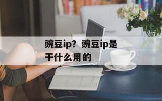 豌豆ip？豌豆ip是干什么用的