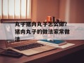 丸子猪肉丸子怎么做？猪肉丸子的做法家常做法