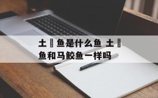 土魠鱼是什么鱼 土魠鱼和马鲛鱼一样吗