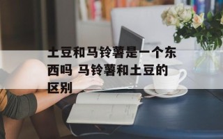土豆和马铃薯是一个东西吗 马铃薯和土豆的区别