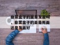 韭菜盒子的面是发面吗，韭菜盒子的面是死面还是发面好