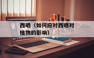 西晒（如何应对西晒对植物的影响）