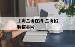 上海金山在线 金山招聘信息网