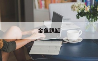 金鱼趴缸