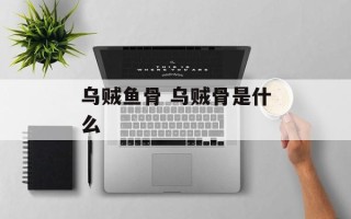 乌贼鱼骨 乌贼骨是什么