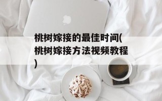桃树嫁接的最佳时间(桃树嫁接方法视频教程)