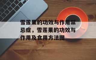 雪莲果的功效与作用禁忌症，雪莲果的功效与作用及食用方法图