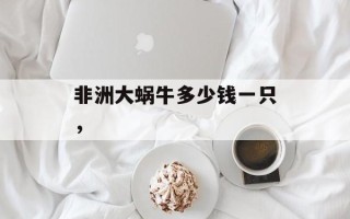非洲大蜗牛多少钱一只，