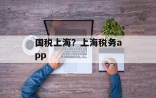 国税上海？上海税务app