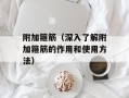 附加箍筋（深入了解附加箍筋的作用和使用方法）