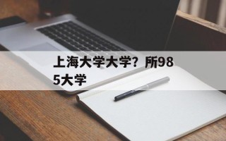 上海大学大学？所985大学