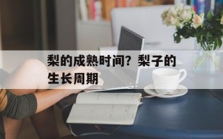 梨的成熟时间？梨子的生长周期