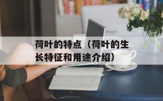 荷叶的特点（荷叶的生长特征和用途介绍）