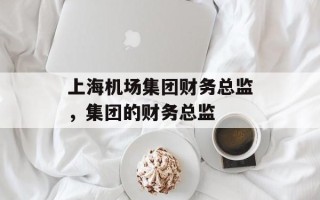 上海机场集团财务总监，集团的财务总监