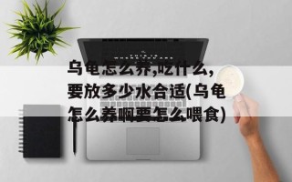 乌龟怎么养,吃什么,要放多少水合适(乌龟怎么养啊要怎么喂食)