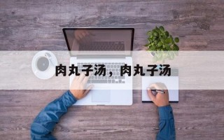 肉丸子汤，肉丸子汤