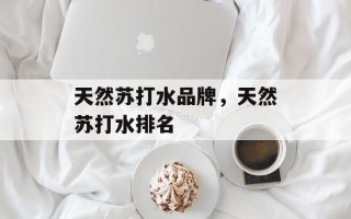天然苏打水品牌，天然苏打水排名