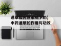 通草如何煮水喝下奶(中药通草的作用与功效)