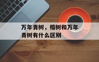 万年青树，榕树和万年青树有什么区别