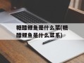 糖醋鲤鱼是什么菜(糖醋鲤鱼是什么菜系)