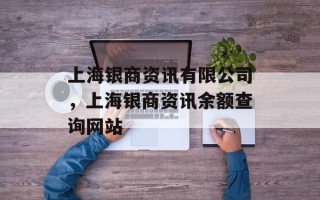 上海银商资讯有限公司，上海银商资讯余额查询网站