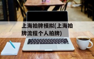 上海拍牌模拟(上海拍牌流程个人拍牌)