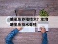 塘虱鱼养殖技术？本地塘虱鱼技术养殖