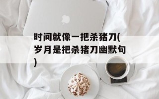 时间就像一把杀猪刀(岁月是把杀猪刀幽默句)