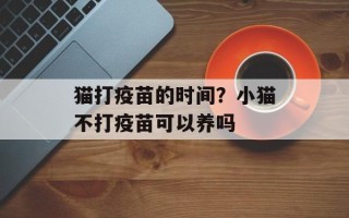 猫打疫苗的时间？小猫不打疫苗可以养吗
