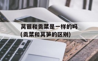 莴苣和贡菜是一样的吗(贡菜和莴笋的区别)